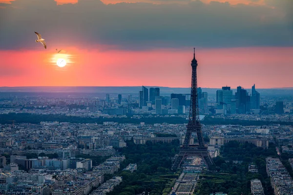 Utsikt över Paris med Eiffeltornet från Montparnasse-byggnaden. Eiff — Stockfoto