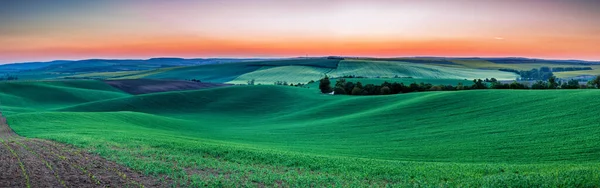 Verde paisaje de verano vista panorámica — Foto de Stock