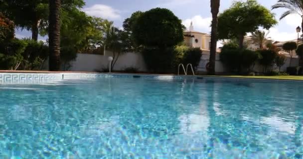 Piscine, chaises longues et palmiers lors d'une chaude journée ensoleillée, destination paradisiaque pour les vacances. Piscine dans la cour avec jardin plein de palmiers et de fleurs. Cour arrière avec piscine.