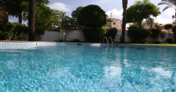 Piscina, espreguiçadeiras e palmeiras durante um dia quente ensolarado, destino paradisíaco para férias. Piscina no quintal com jardim cheio de palmeiras e flores. Quintal com piscina. — Vídeo de Stock