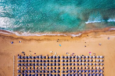 Aerial view of sandy beach with colorful umbrellas, swimming peo