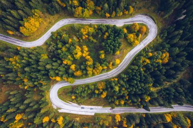 Ormandaki eğri büğrü yol. Bir yolun havadan görüntüsü. Forre