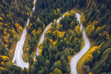 Ormandaki eğri büğrü yol. Bir yolun havadan görüntüsü. Forre