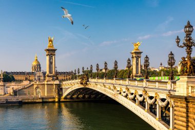 Pont Alexandre Iii Köprüsü, güneşli bir yaz günü Seine nehri üzerinde.