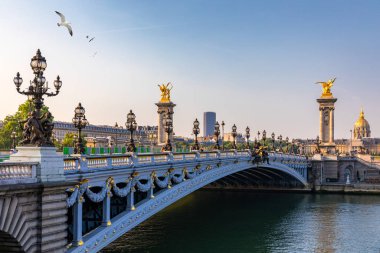 Pont Alexandre Iii Köprüsü, güneşli bir yaz günü Seine nehri üzerinde.