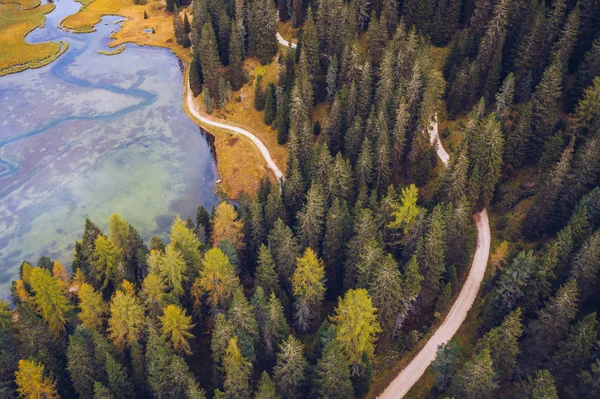 Scénický letecký pohled na klikatou stezku v lese. Trekk — Stock fotografie