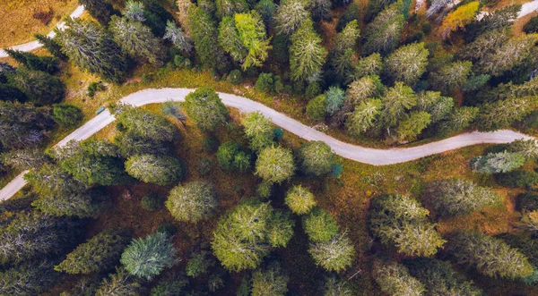 Scénický letecký pohled na klikatou stezku v lese. Trekk — Stock fotografie