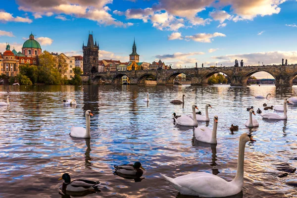 Vista de otoño al puente de Carlos sobre el río Moldava en Praga, República Checa — Foto de Stock