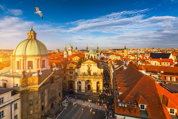 Aerial panorama view with flying birds of the Old Town in Prague — Stock Photo, Image