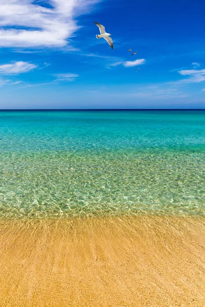 Belle plage turquoise Falasarna (Falassarna) en Crète, Greec — Photo