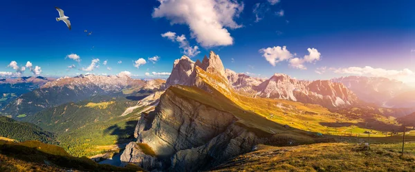 Panorama auf Seceda mit Vögeln, die über die Gipfel fliegen. Trentino al Stockfoto