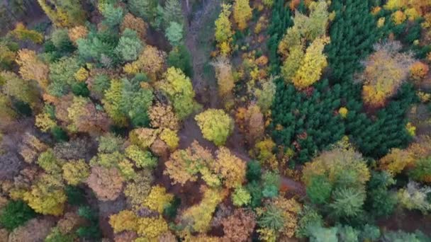 Bella vista sul fiume Moldava dal punto di vista del Maj. Repubblica Ceca, Krnany, Europa. Punto di vista di Maj vicino a Praga nella Boemia centrale, Repubblica Ceca. Veduta aerea di incredibile Vyhlidka Maj. — Video Stock