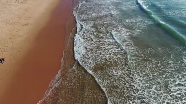 热带海滩鸟瞰 最高潮破落在热带黄沙沙滩上 海浪无缝地在美丽的沙滩上回旋 美丽的热带海滩空中 鸟瞰海浪 — 图库视频影像