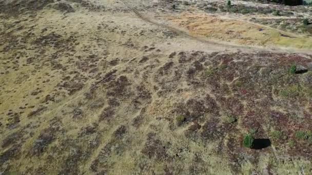 Sass de Putia, Passo delle Erbe plato, Alta Badia, Sud Tirol, İtalya. İtalyan Dolomitleri, İtalya 'da Sass de Putia Havalimanı. "Passo delle Erbe", Güney Tyrol 'daki dağ manzarası. — Stok video