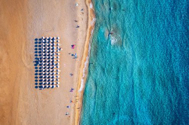 Aerial view of sandy beach with colorful umbrellas, swimming peo