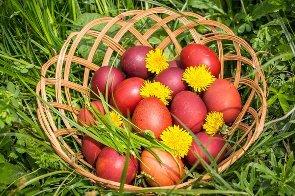 Oeufs de Pâques rouges sur l'herbe avec des fleurs et des balles, naturel — Photo