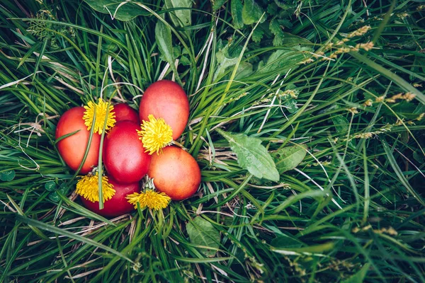 Oeufs de Pâques rouges sur l'herbe avec des fleurs et des balles, naturel — Photo