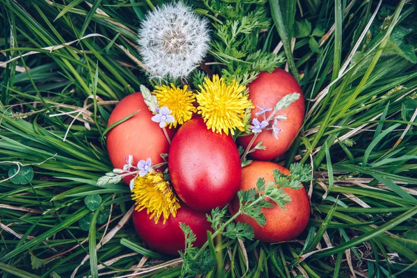 Oeufs de Pâques rouges sur l'herbe avec des fleurs et des balles, naturel — Photo