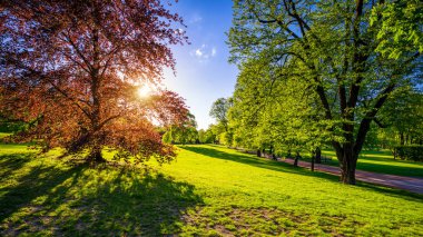 Letna Park'ta bahar manzarası, Prag, Çek Cumhuriyeti. Pra Bahar