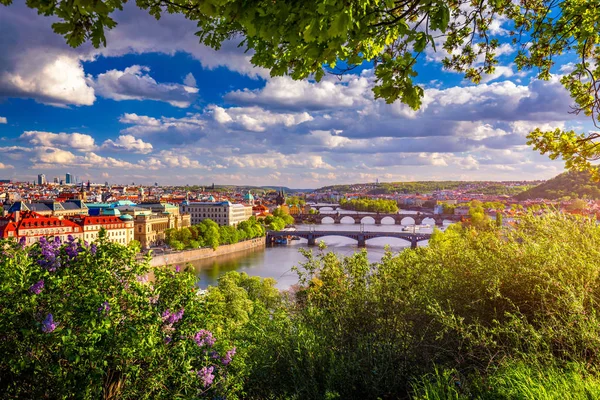 Increíble paisaje urbano de primavera, el río Moldava y el centro de la ciudad vieja con —  Fotos de Stock