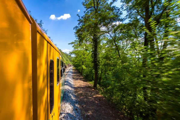 Zugfahrt, Blick aus dem Fenster. alter Zug fährt an grünen Vegetatis vorbei — Stockfoto