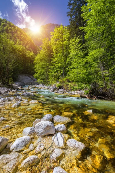 Hideg hegyi patak jön Savica vízesés, folyó Sava ne — Stock Fotó