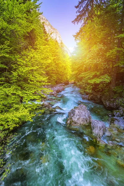 Beautiful colorful summer landscape with a stream and forest. Th — Stock Photo, Image