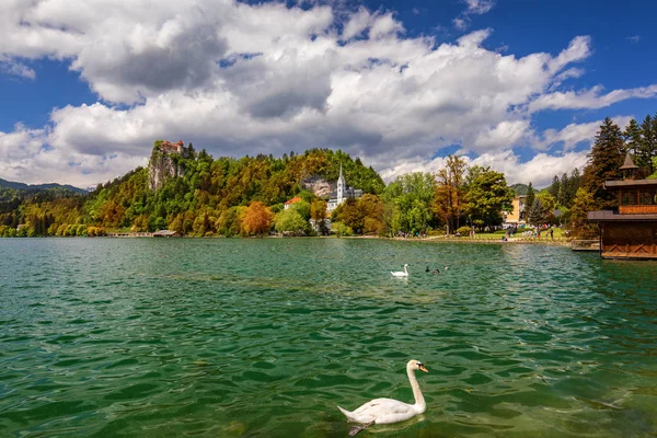 Amazing sunny scenery of Bled castle and St. Martin's Church and — Stock Photo, Image