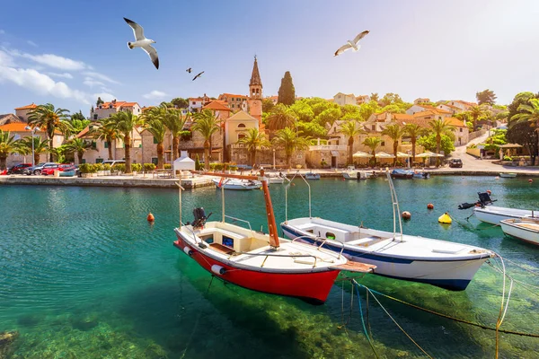 Splitska village with beautiful port and seagull's flying over t — Stock Photo, Image