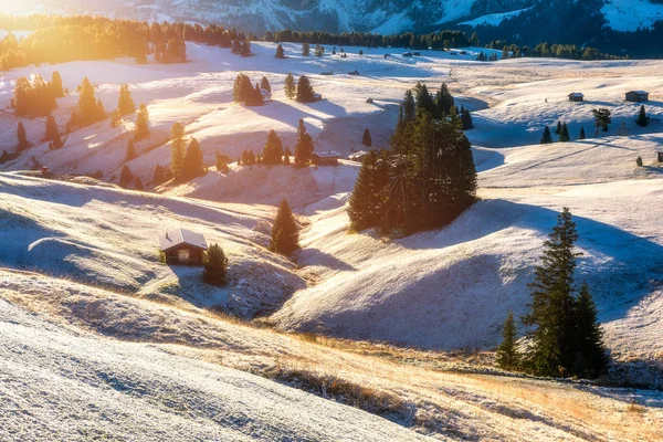 Alpe di Siusi o Alpe di Siusi con Sassolungo, Langkofel — Foto Stock