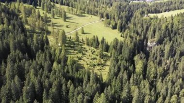 Passo Costalunga'dan Catinaccio (Rosengarten olarak da bilinir) güzel bir dağ. Dolomitler, Güney Tirol, İtalya. Catinaccio (Rosengarten grubu), İtalyan Alpleri'ndeki dağlar, Güney Tirol