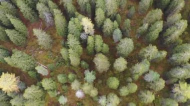 Arka planda Dolomites dağ ile Misurina Gölü nefes kesen manzara, İtalya. İtalya'da Doğu Dolomites seyahat hedef Panoramik doğa manzara. Dolomites'teki Misurina Gölü. İtalya