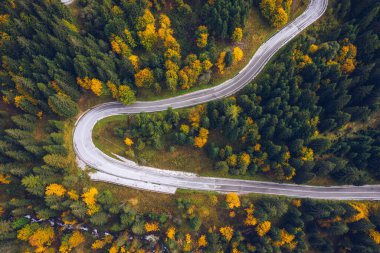 Ormandaki eğri büğrü yol. Bir yolun havadan görüntüsü. Forrest modeli. Sonbaharda insansız hava aracından görülen manzaralı kıvrımlı bir yol. Zig zag kıvrımlı dağ yolu, insansız hava aracı görüntüsü..