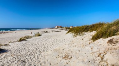 Portekiz, Costa Nova d 'Aveiro' daki tahta patika. Okyanus manzaralı kum tepeleri üzerinde, yaz akşamında. Güneşli bir günde Costa Nova sahilinin tahta köprüsü. Aveiro, Portekiz. 