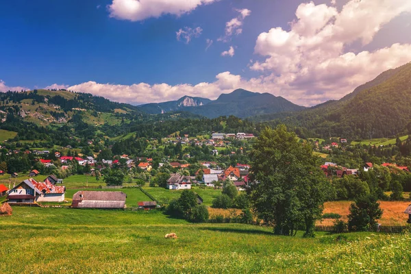 Verano Alpino Transilvania Hito Paisaje Con Campos Verdes Valles Altas — Foto de Stock