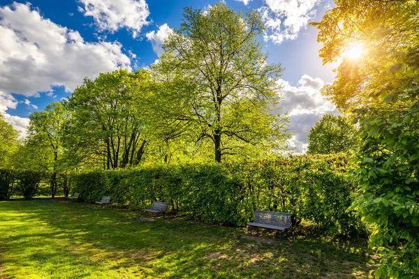 Vista Primavera Parque Letna Praga República Checa Primavera Praga Praha —  Fotos de Stock