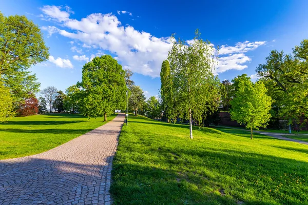 Tavaszi Kilátás Letna Parkban Prága Csehország Prágai Tavasz Praha Gyönyörű — Stock Fotó
