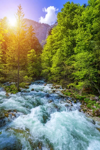 Hideg Hegyi Patak Jön Savica Vízesés Folyó Száva Közelében Bohinj — Stock Fotó