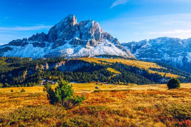 Dolomitler, İtalya 'daki Passo delle Erbe' den Peitlerkofel Dağı 'nın çarpıcı manzarası. Passo delle Erbe 'deki Sass de Putia (Peitlerkofel) manzarası, ahşap çiftlik evleri, Dolomitler, Güney Tyrol, İtalya.