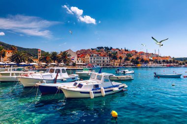 Balıkçı tekneleri önünde kasaba Hvar, Hırvatistan ile muhteşem adalar, görüntüleyin. Liman kentinin eski Adriyatik Adası Hvar martı ile şehrin üzerinde uçuyor. Şaşırtıcı Hvar city Hvar Adası, Hırvatistan. 