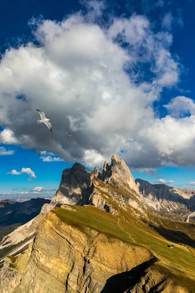 Vista Sobre Seceda Con Aves Volando Sobre Los Picos Trentino — Foto de Stock