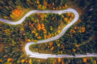 Ormandaki eğri büğrü yol. Bir yolun havadan görüntüsü. Forrest modeli. Sonbaharda insansız hava aracından görülen manzaralı kıvrımlı bir yol. Zig zag kıvrımlı dağ yolu, insansız hava aracı görüntüsü..
