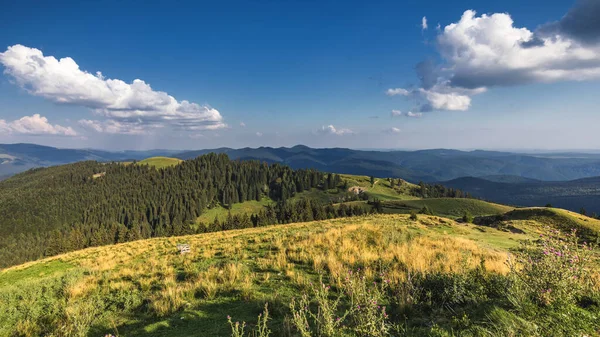 Verão Alpino Transilvânia Marco Paisagem Com Campos Verdes Vales Altas — Fotografia de Stock