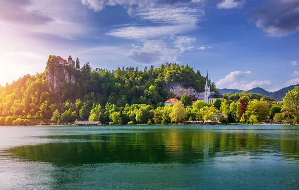 Amazing Sunny Scenery Bled Castle Martin Church Bled Town Reflection — Stock Photo, Image
