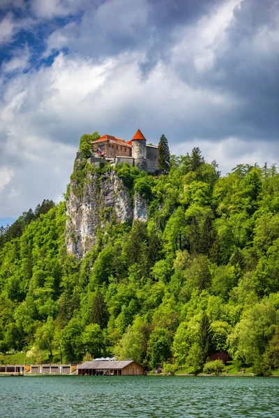Bled Castle Lake Bled Slovenia — Stock Photo, Image