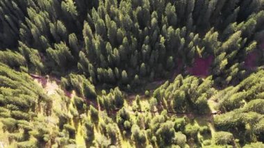 Passo Costalunga'dan Catinaccio (Rosengarten olarak da bilinir) güzel bir dağ. Dolomitler, Güney Tirol, İtalya. Catinaccio (Rosengarten grubu), İtalyan Alpleri'ndeki dağlar, Güney Tirol