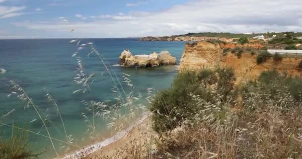 Turkuaz deniz suyu ve kayalıklar, Portekiz ile Praia Dona Ana plaj. Güzel Dona Ana Beach (Praia Dona Ana) Lagos, Algarve, Portekiz. — Stok video