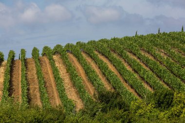 Görünümü Maremma bölgesinin İtalya tepelerde ve Toskana alanları