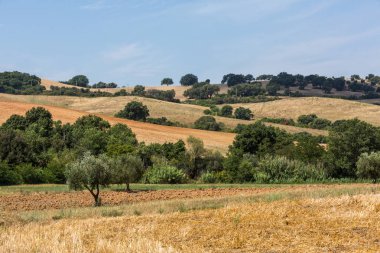 Görünümü Maremma bölgesinin İtalya tepelerde ve Toskana alanları
