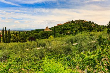 Montepulciano Siena İtalya bölgesinin